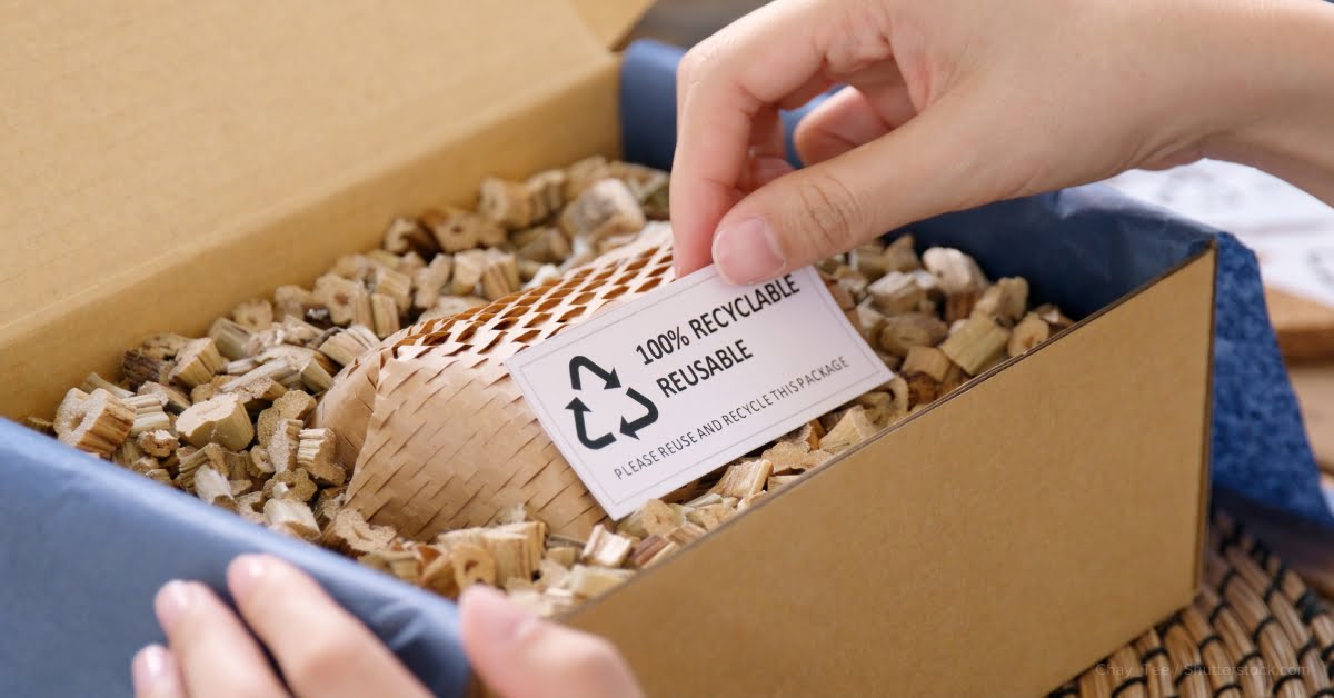 Sustainable Packaging in E-Commerce: Embracing Eco-Friendly Solutions for a Greener Future